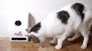 App Allows Pet Owners To Feed Pet Treats While At Work