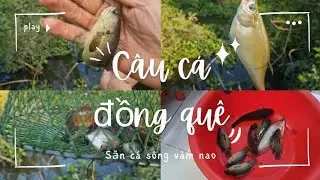 CÂU CÁ ĐỒNG THỜI TIẾT LẠNH THẤT THU NHƯNG VẪN VUI VÌ CÓ CÁ | SĂN CÁ SÔNG VÀM NAO