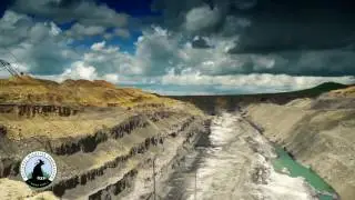 Stop Coal from Harming Our Wildlife