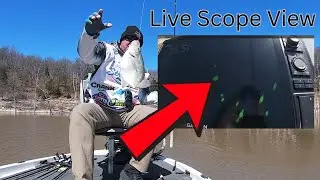 Chasing Pre-Spawn Crappie with Live Scope view. See what I see!