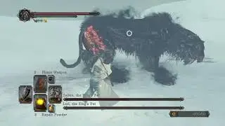Lud and Zallen, the King's Pets Boss Battle - DARK SOULS II: Scholar of the First Sin