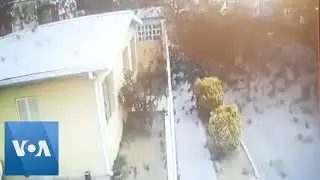 Impressive Footage Shows a Flock of Birds Dropping Dead in Mexico