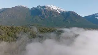 Protect 100+ Acres of Floodplain Forest Along the Xw&eacute;sam (Salmon) River