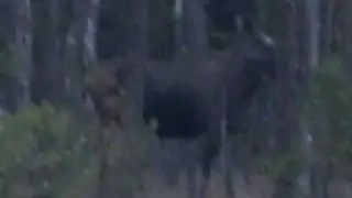 &auml;lg vid hosj&ouml;n