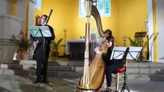 Papier is dokh Weiss (yiddish) / Pauline Haas (voice, harp) and Rafael Angster (bassoon)