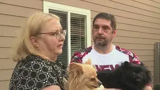Poisoned meat eaten by dogs, neighbor in Bethany arrested