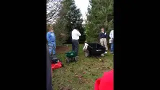 Auctioneer goes Ham