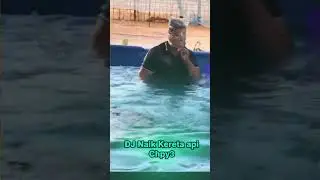 DJ NAIK KERETA API - CHPY3 | Jedag Jedug Full Bass Viral TikTok 2026