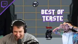 TERSTE VERARSCHT HAHN😂 TERSTE Streamhighlights AMONG US🎥🔥 Streamhighlights #10
