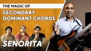 Secondary Dominant Chords-Music Theory Lesson| Senorita Bass Cover| The School of Bass|