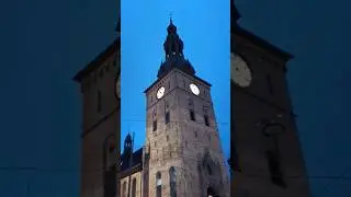 Long queue to visit Oslo Cathedral#Oslo domkirke#Norway#shorts