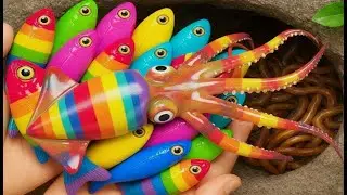 Catch Beautiful Aquarium Fish in Giant Colorful Egg, Betta Fish, Turtle, Pencil Fish, Carp, Goldfish