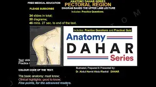 Pectoral Region, Anatomy DAHAR Series
