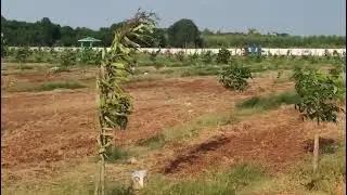 Sagaramala farm house project development 