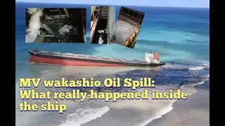 MV WAKASHIO // the engine situation before the oil spill