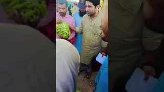 Sabzi mandi chishtian || daily update fruits and vegetables price . #alubukhara #mandirates