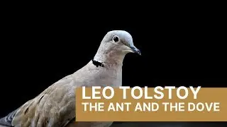 Leo Tolstoy -- Lern russian with parallel text.