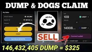 Dump Token Withdrawal Guide | DOGS Claim Date | Duck Airdrop - Connect Ton Wallet