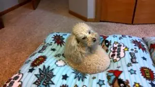 Nexus 7 2013 Video Sample Video Rear Camera