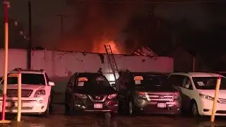 Antique cars destroyed at family-owned dealership
