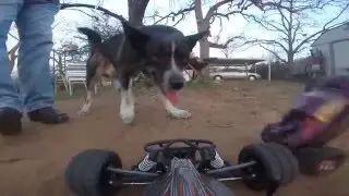 Husky vs. RC car