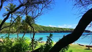 hidden beach hawaii 4K