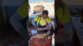 Spangled Emperor Cutting Skills! #fishcutting #trending #viral #shortsfeed #youtubeshorts #amazing