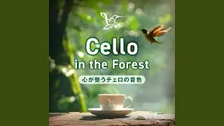 Cello in the Forest〜Tree Embrace