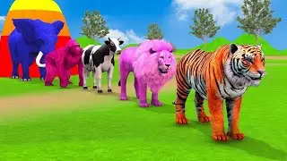 Long Slide Game With Cow Elephant Gorilla Hippopotamus Tiger 3d Animal Game Funny 3d Animals
