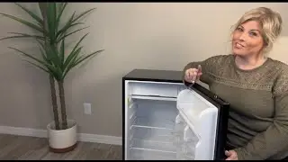 Why buy this mini fridge?  Review and Demo