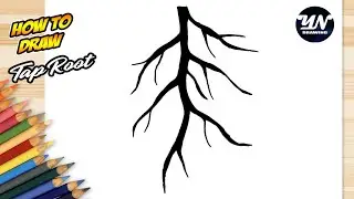How to Draw Tap Root