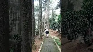 ONTY BENG JALAN DI HUTAN #backtonature #green #healing #love #gunung #puntang #indonesia