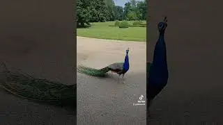 #nicecolors