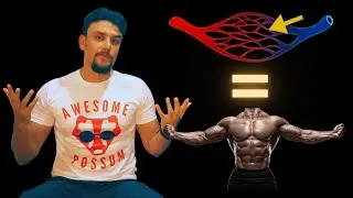 More Muscle, More Muscles Capillaries? | Study