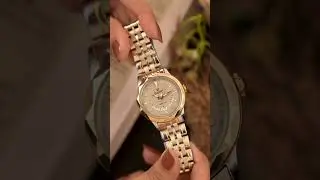 Bask in the Glow of Timeless Luxury! | Sveston Modicci