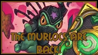 Hearthstone: The murlocs are back! (anyfin paladin)
