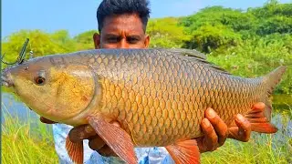 Best Fishing Techniques | Best Hook Fishing | Fishing Videos | New Fishing | Fr Fishing