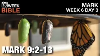 The Transfiguration | Mark 9:2-13 | Week 6 Day 3 Study of Mark