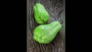 TOP 6 HEALTH BENEFITS CHAYOTE SQUASH  #Chayote Squash #health benefits #healthy #recipe