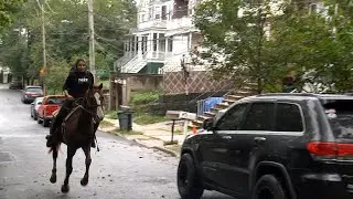 No horsing around: Couple keeps pet steed outside NYC home