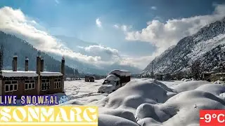 Sonmarg Live Snowfall -8°C ❄️ || New Year In Kashmir Sonmarg || Babbu Vlogs 