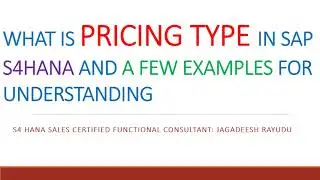 SAP SD PRICING TYPE IN SAP S4HANA AND A FEW EXAMPLES FOR UNDERSTANDING- FIND LINKS IN DESCRIPTION