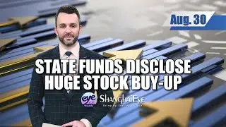 State funds disclose huge stock buy-up