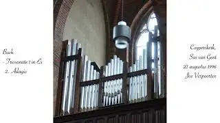 Bach - Triosonate nr. 1 in Es BWV 525 - 2. Adagio
