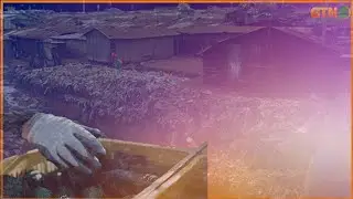 Kandara Murang&rsquo;a Residents Protest Over foul Odour from Local Avocado Dump Site