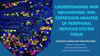 2020 Jun 24 - SelectScience Webinar: Transcriptional & Spatial Resolution of Cell Types in Habenula