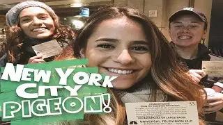 BACKLOG VLOG || My first time in New York City (2017)