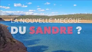 La nouvelle MECQUE DU SANDRE ? (en vrai oui)