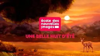 UNE BELLE NUIT D'ÉTÉ