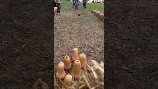 Pumpkin bowling 🎳 Halloween vibes #halloweenpumpkin #fun #pumpkin #youtubeshorts #fallcolors